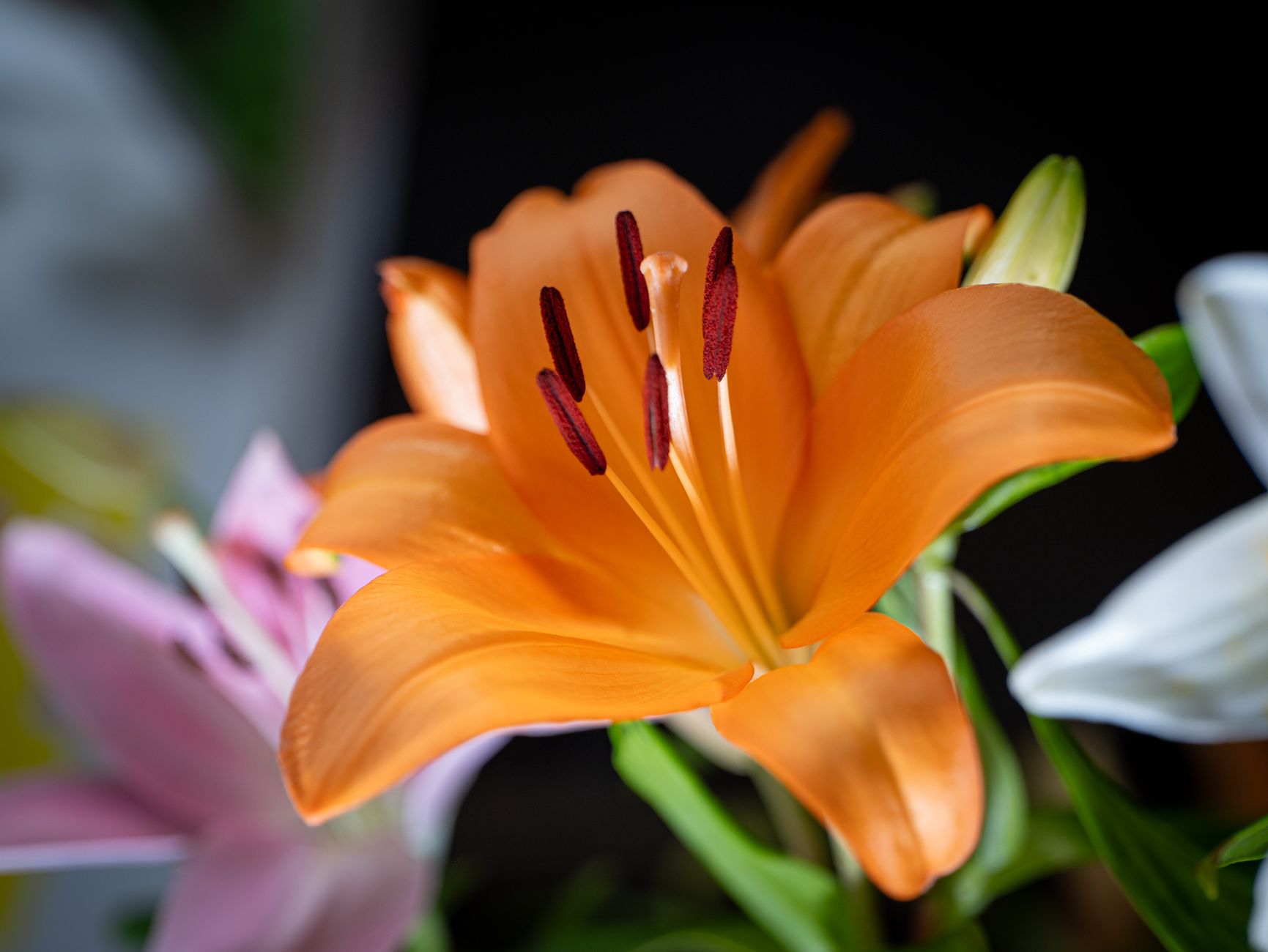 Livraison fleurs à Aubervilliers